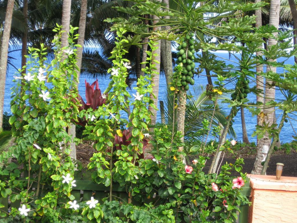 Oceanfront Cottage Near The Kalapana Lava Flows Kehena Habitación foto