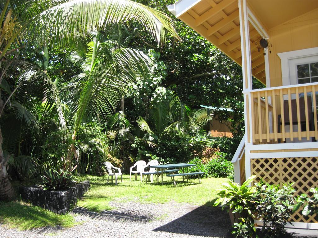 Oceanfront Cottage Near The Kalapana Lava Flows Kehena Habitación foto